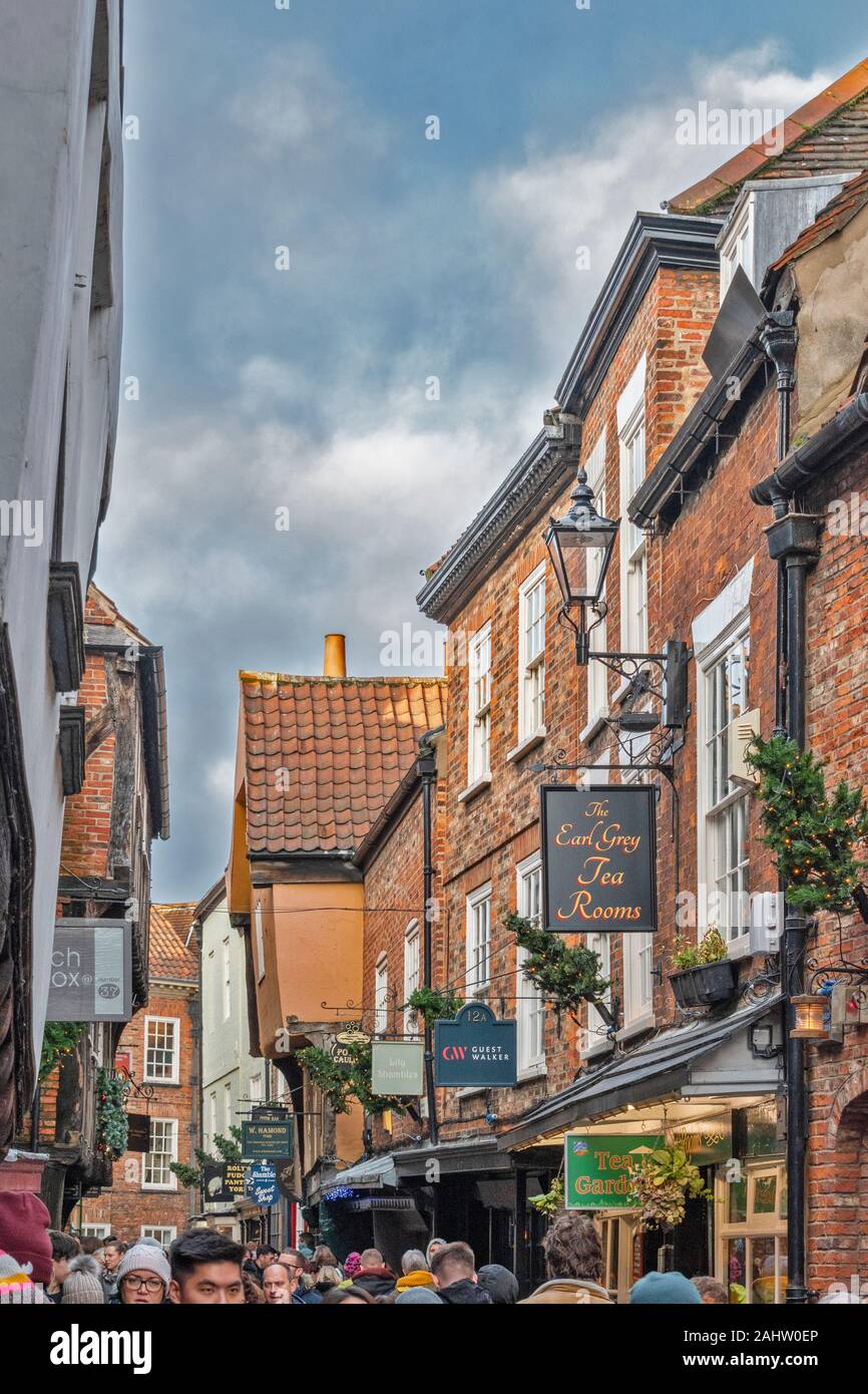 YORK ENGLAND THE SHAMBLES SCHIEFE WÄNDE UND VIELE SCHILDER AN WEIHNACHTEN Stockfoto