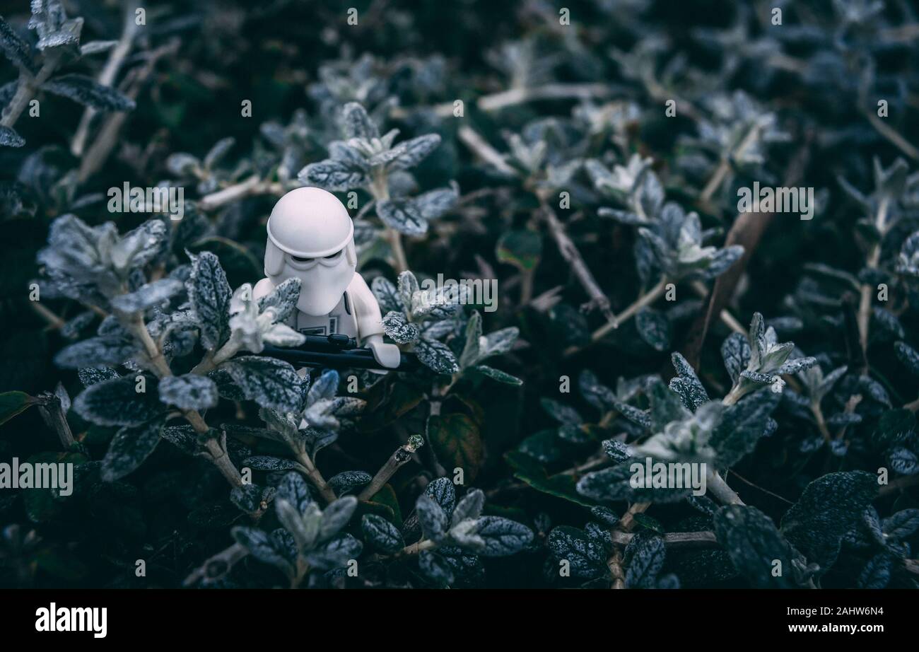 Lego Schnee stormtrooper Soldat unter eisigen Blätter ausgeblendet Stockfoto