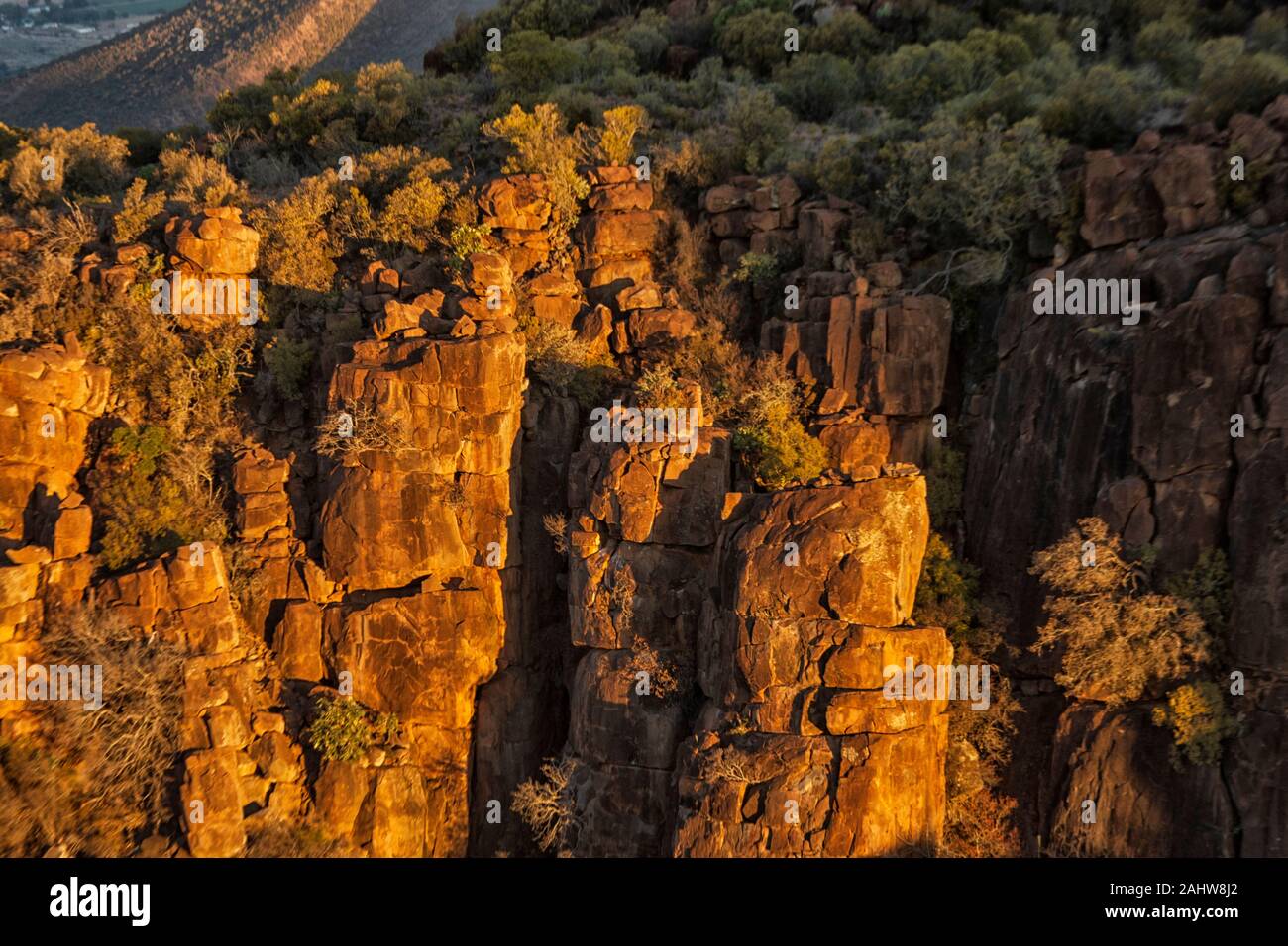 Versteinerte Bäume im Tal der Wüste bei Sonnenuntergang in der camdeboo National Park, Graaff Reinet, östliches Kap, Südafrika Stockfoto