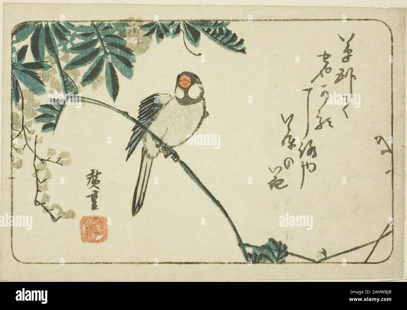 Utagawa Hiroshige. Sparrow und Glyzinien. Japan. Farbe holzschnitt; yotsugiriban Stockfoto