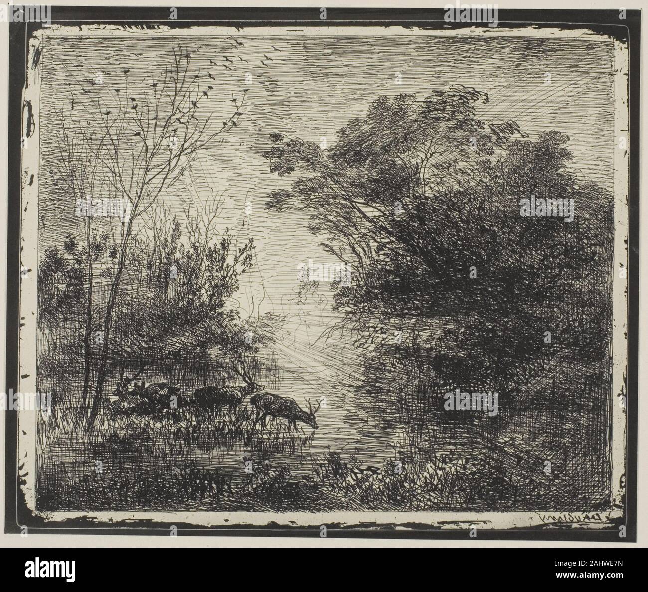 Charles François Daubigny. Hirsche. 1862. Frankreich. Cliché-verre auf Elfenbein Fotopapier Stockfoto