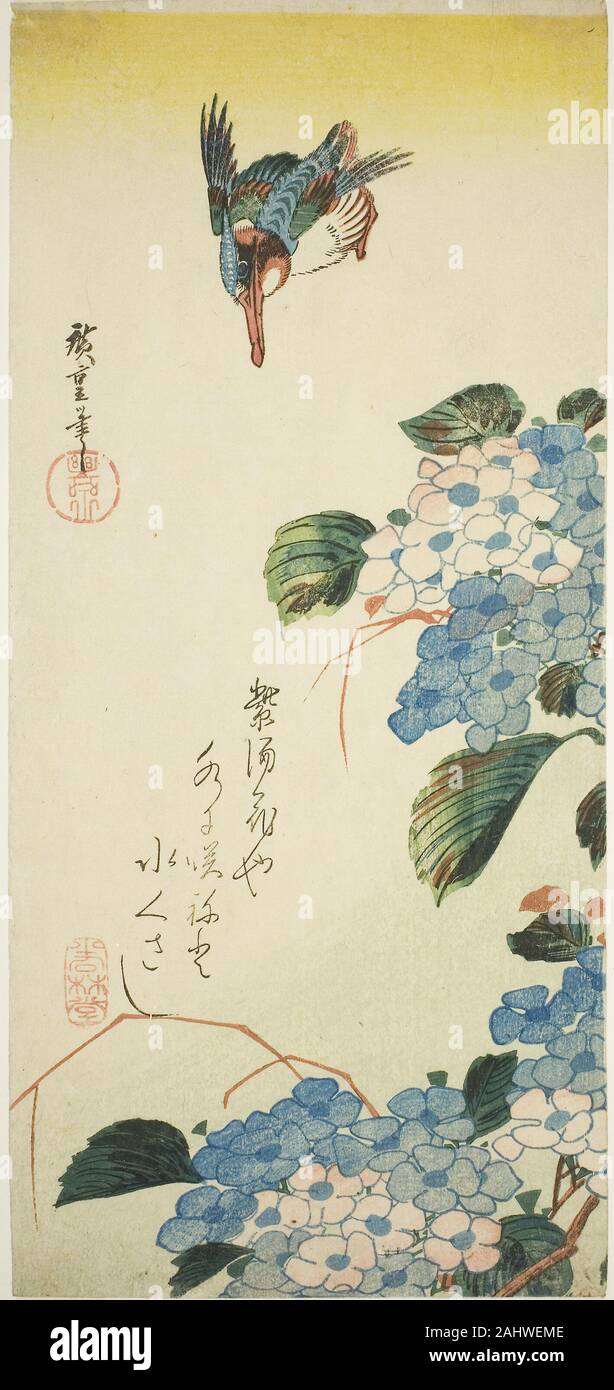 Utagawa Hiroshige. Kingfisher und Hortensien. 1830 - 1839. Japan. Farbe holzschnitt; otanzaku Stockfoto