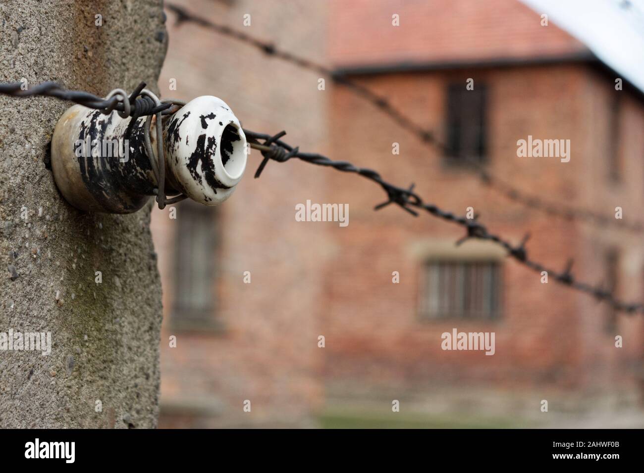 Stacheldrahtzaun Pfosten an Auschwitz, Oświęcim, Polen Stockfoto