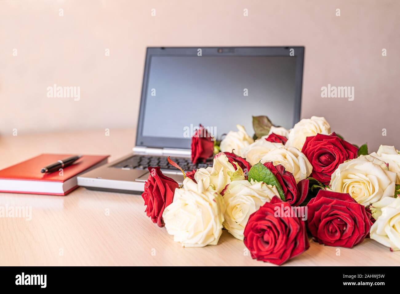Blumen Geschenk frische weiße und rote Rosen am Arbeitsplatz auf leicht rosa Hintergrund. Auf hölzernen Tisch in der Nähe Laptop Tastatur ist groß Anzahl der Rosen. V Stockfoto