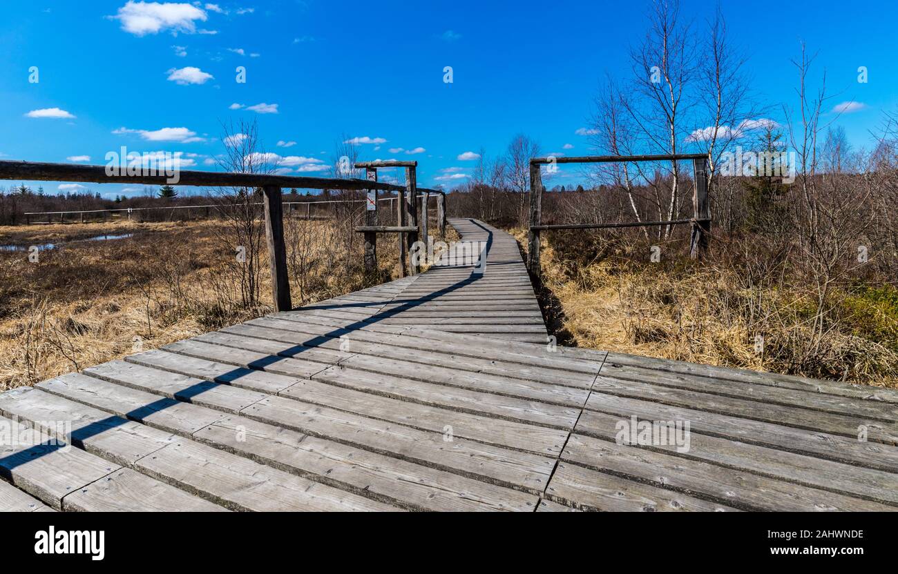 Rundwanderweg mit einem Holzsteg in das Hohe Venn. Stockfoto