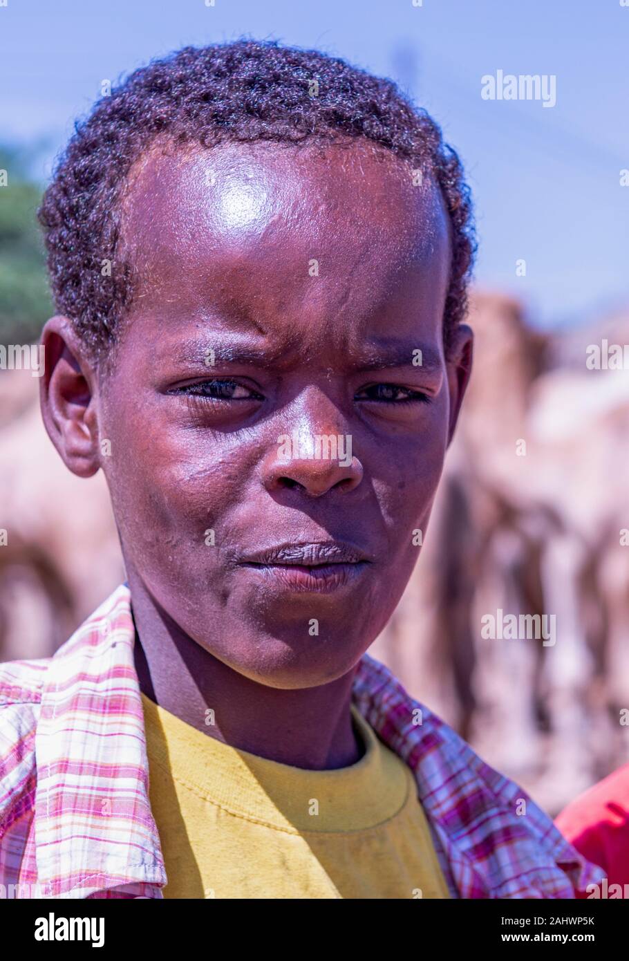 Jugend in Gibiley, Somaliland Stockfoto