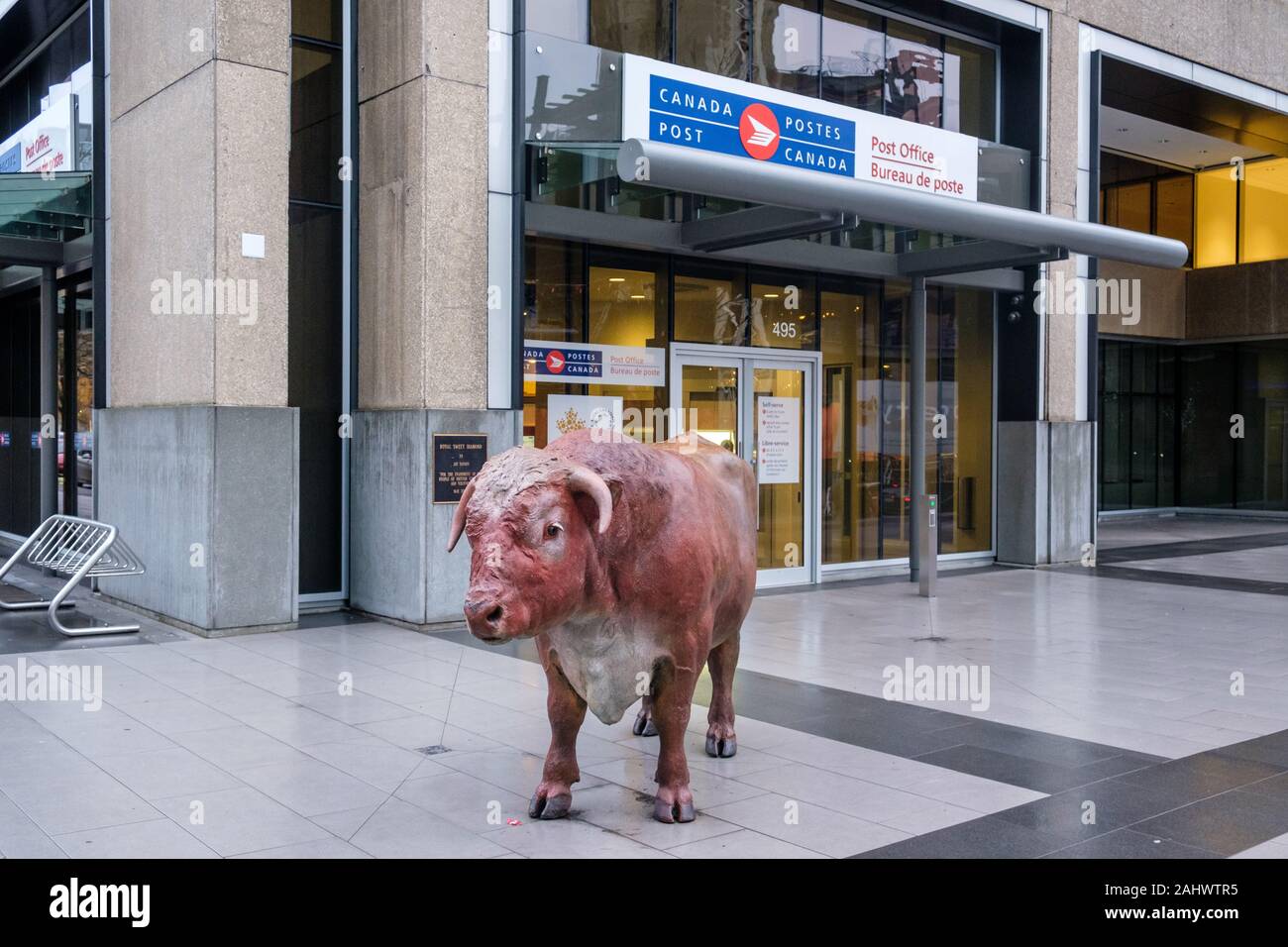 'Royal Sweet Diamond' bronze Bull von Joe Fafard (2001), 475 West Georgia Street, Vancouver, Britisch-Kolumbien, Kanada Stockfoto