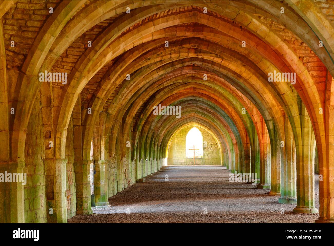 Beleuchtete Cellarium bei Fountains Abbey in North Yorkshire während einer Musik & Licht Weihnachten Veranstaltung. Stockfoto