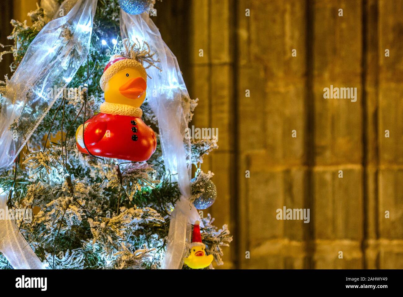 Rubber Duck Santa. Nicht traditionelle Weihnachtsdekoration auf einem schneebedeckten Weihnachtsbaum. Stockfoto