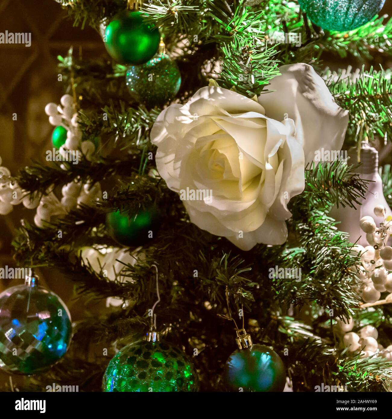 Nahaufnahme von einem Weihnachtsbaum, verziert mit einer weißen Rose, Stechpalme Beeren und Flitter. Das quadratische Format Bild hat eine dezente, warme Atmosphäre. Stockfoto