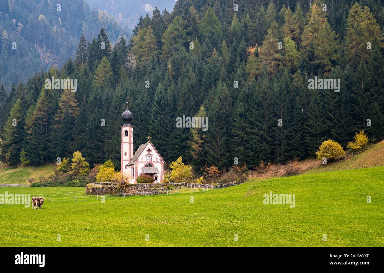 Die wunderschöne Kirche von Saint John, Ranui, chiesetta di San Giovanni in Ranui Runen Südtirol Italien, umgeben von grünen Wiesen und Wald Stockfoto