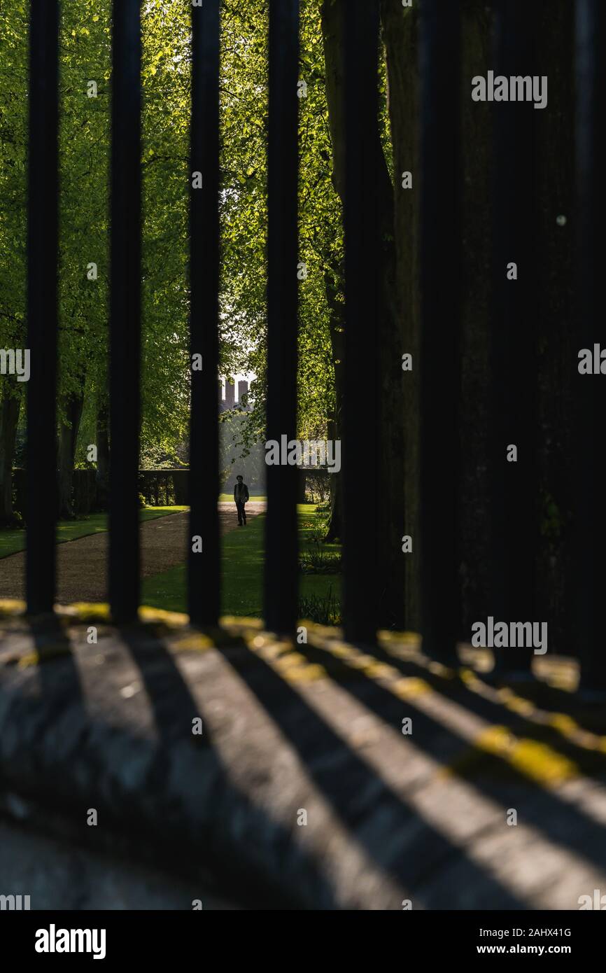 Starke diagonal Schatten von einem Geländer aus einem Zaun in einem Garten Stockfoto