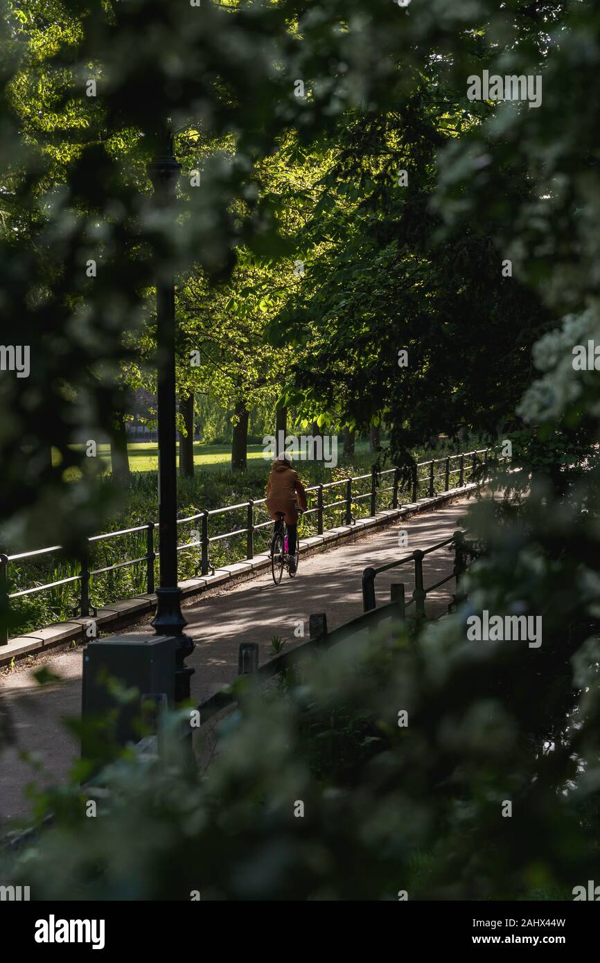 Figur, die an einem sonnigen Frühlingmorgen, der von Bäumen umgeben ist, eine grüne Straße in Cambridge England hinunter geht. Stockfoto
