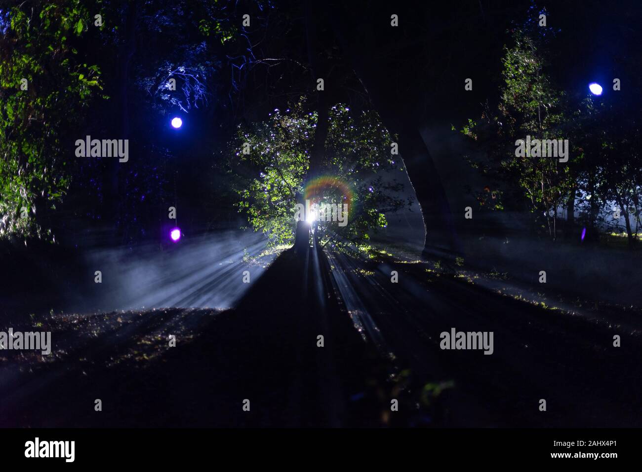 Zauberwald von Licht - spooky Licht ausleuchten der Nebel in der Nacht Stockfoto