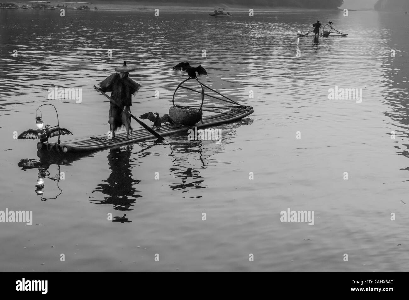 Drei Kormorane, die ihre Flügel trockneten, Li River, BW, Xingping, Guilin, China Stockfoto