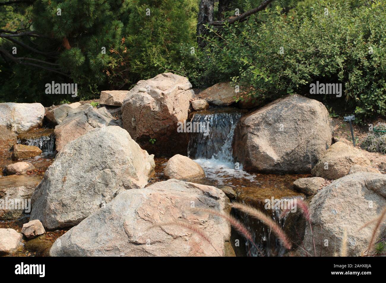 Kleine wateralls über einen Felsen Bett fließt, von Felsen gesäumt, Brunnen Gräser, Sträucher und Evergreens in Colorado, USA Stockfoto
