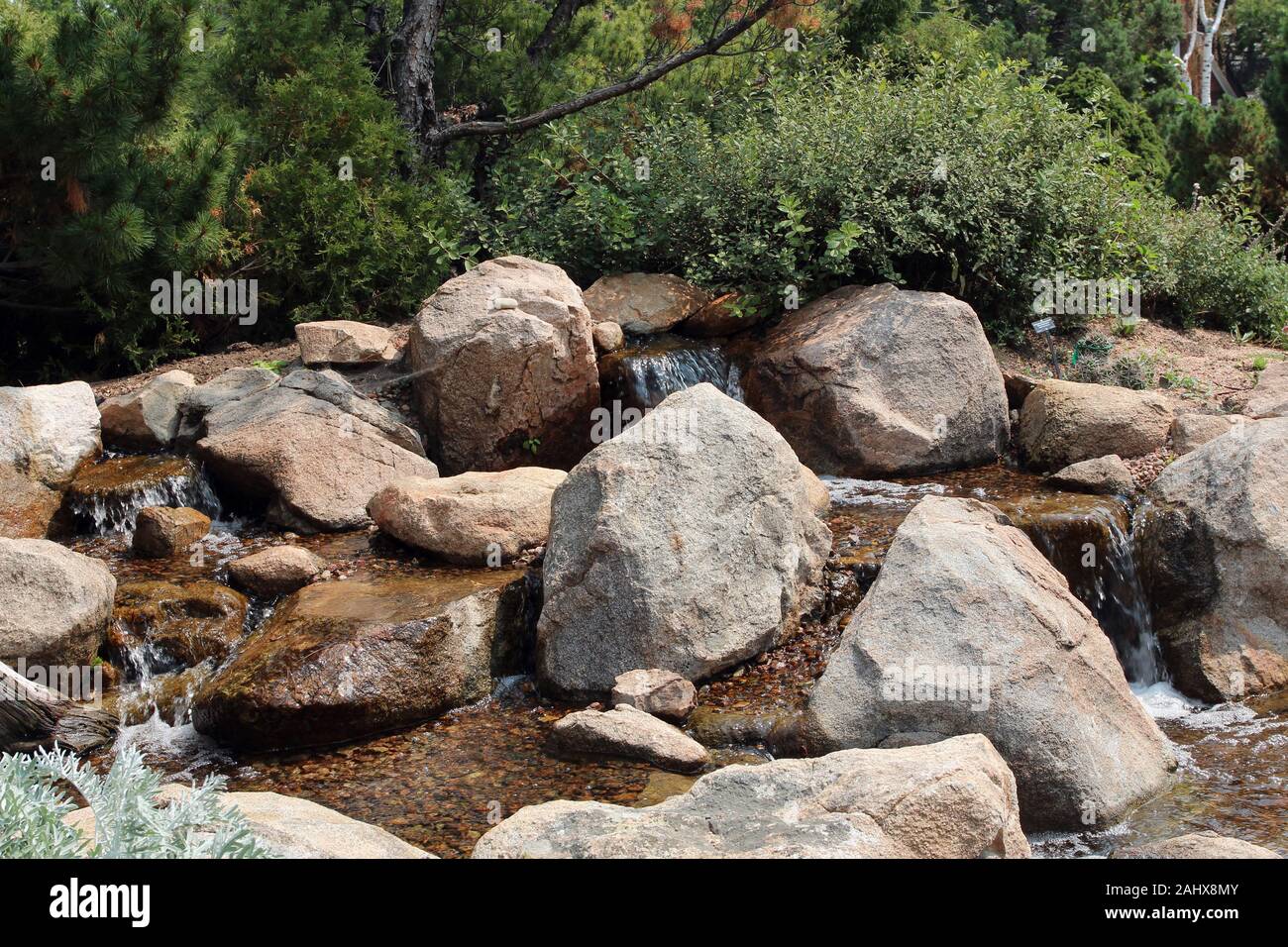 Eine Gruppe von kleinen Wasserfällen stolpern über kleine Felsbrocken durch Bäume, Sträucher und Gräser in Colorado, USA Stockfoto