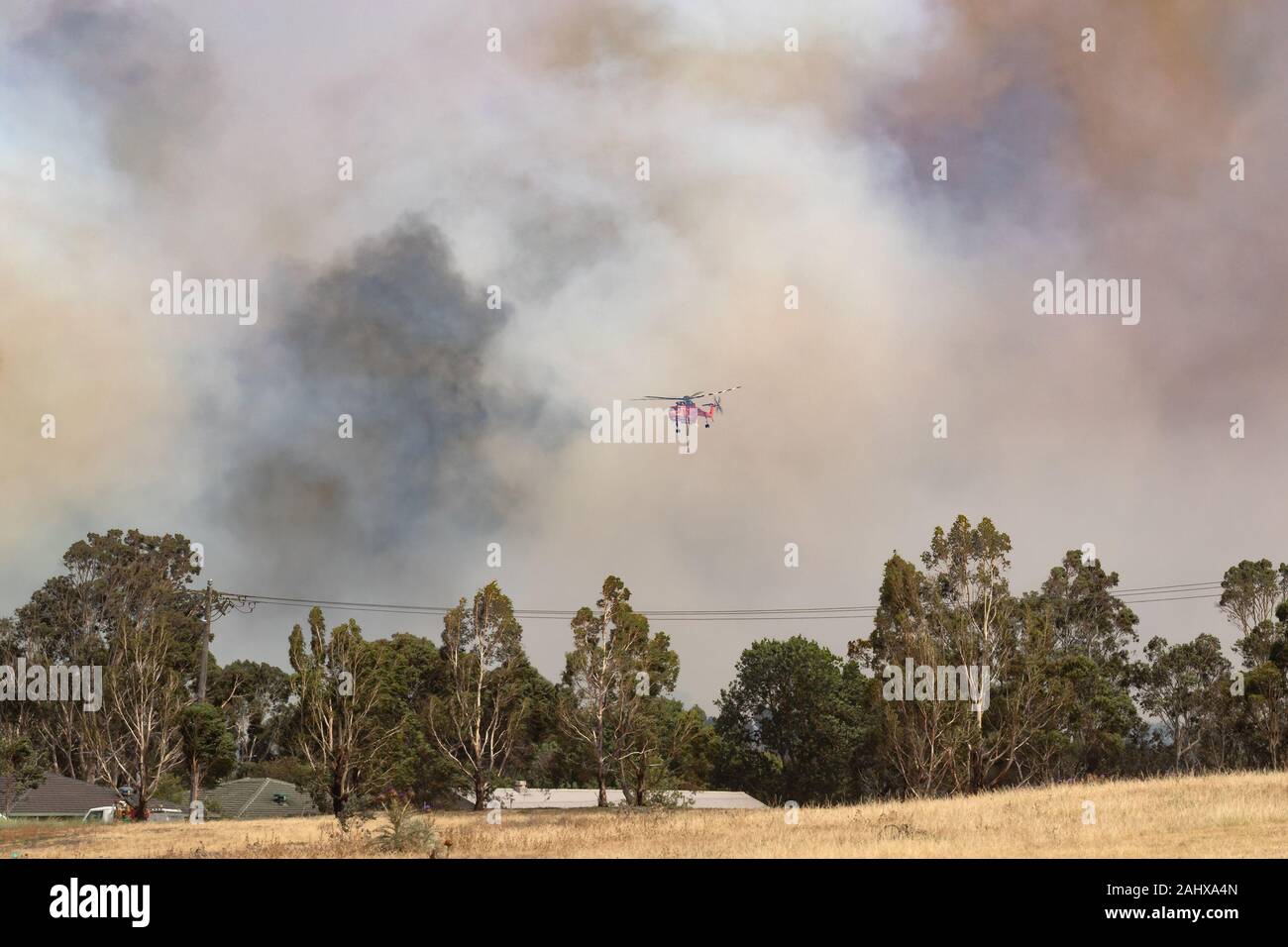Erickson Air Crane Helikopter N 243 AC (Sikorsky S-64) gegen Federn von Rauch fliegen während dem Kampf gegen Buschfeuer in Victoria, Australien. Stockfoto