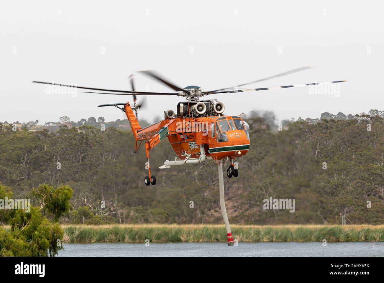 Erickson, Kran, Hubschrauber, die nach dem Befüllen mit einer Belastung von Wasser ein Feuer zu bekämpfen. Stockfoto