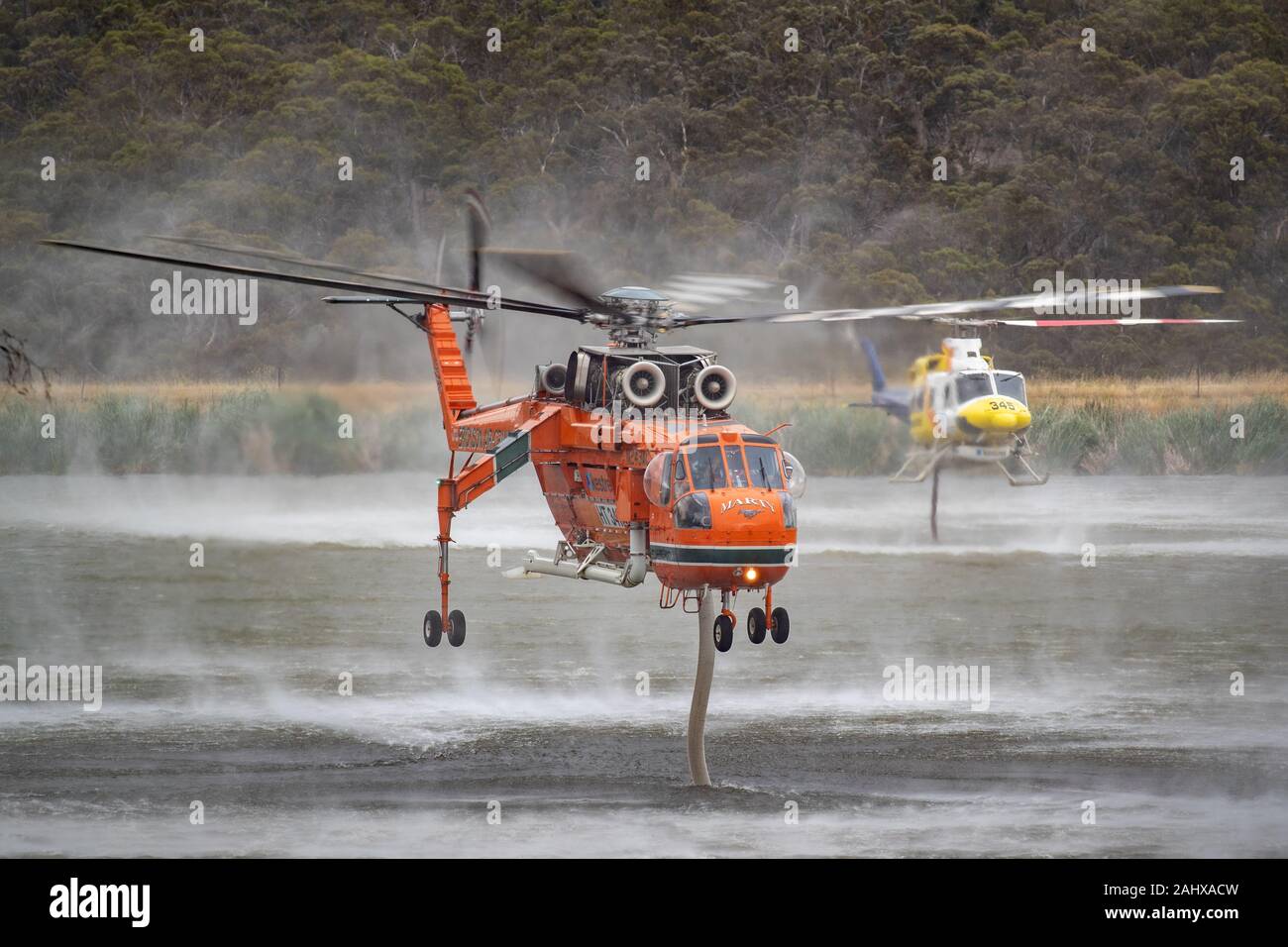 Erickson, Kran Brandanschlag Hubschrauber (Sikorsky S-64) saugen das Wasser seinen Tank in einem See zu füllen, während eine kleinere Bell 412 Hubschrauber behin füllt Stockfoto
