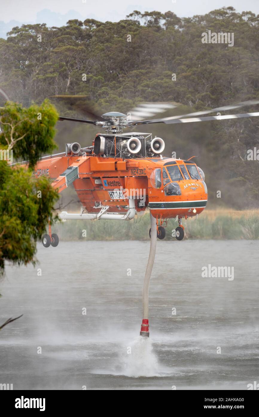Erickson Air Crane Helikopter N 243 AC (Sikorsky S-64 E) saugen eine Ladung Wasser ein Buschfeuer im Melbourne Vorort von Bundoora zu kämpfen. Stockfoto