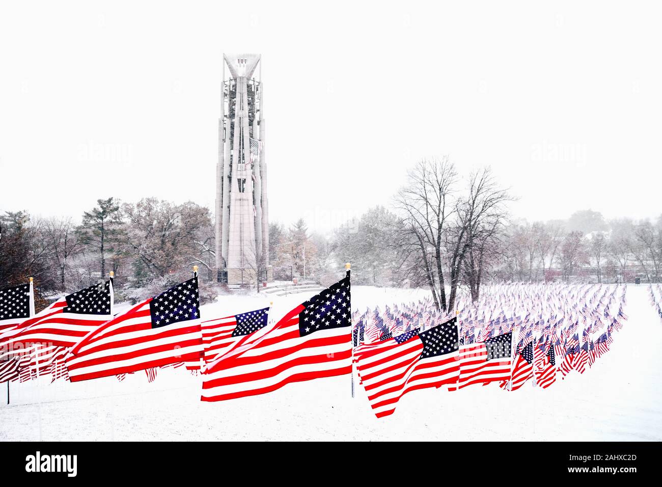 Amerikanische Flaggen in einer Winterszene Stockfoto