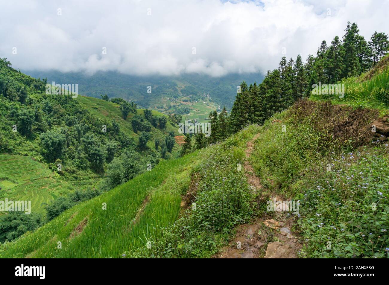 Wanderweg mit Blick von oben auf die Landschaft Berg Tal mit Reisterrassen und Felder an einem sonnigen Tag Stockfoto