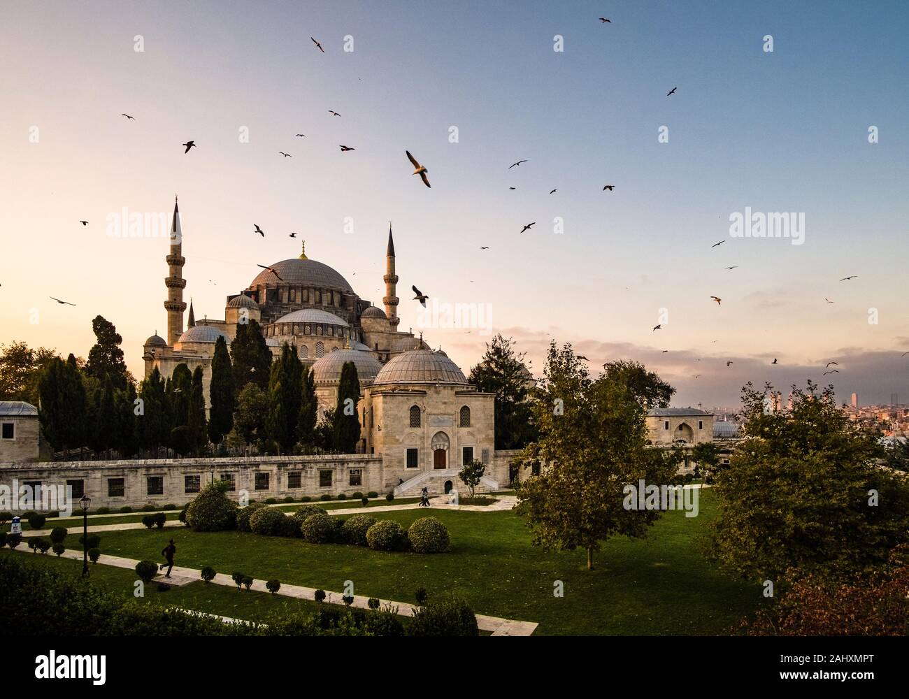 Möwen fliegen um Süleymaniye Moschee, Süleymaniye Camii, auf einem Hügel im Stadtteil Fatih Stockfoto