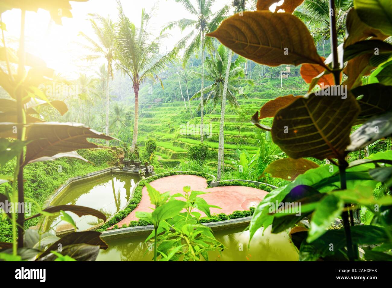 (Selektive Fokus) einen atemberaubenden Blick auf die tegalalang Reis terrasse Felder mit einem schönen roten Herzen im Vordergrund. Stockfoto