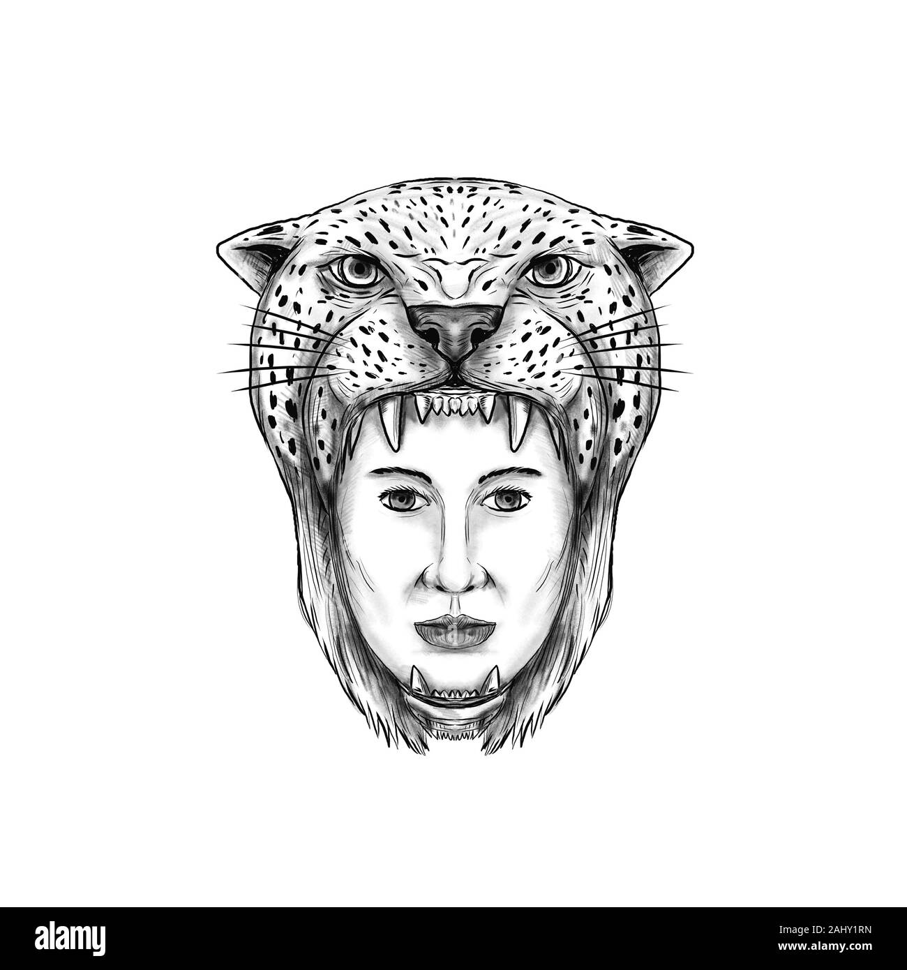 Einen Leoparden Zeichnen Ausgeschnittene Stockfotos und -bilder - Alamy