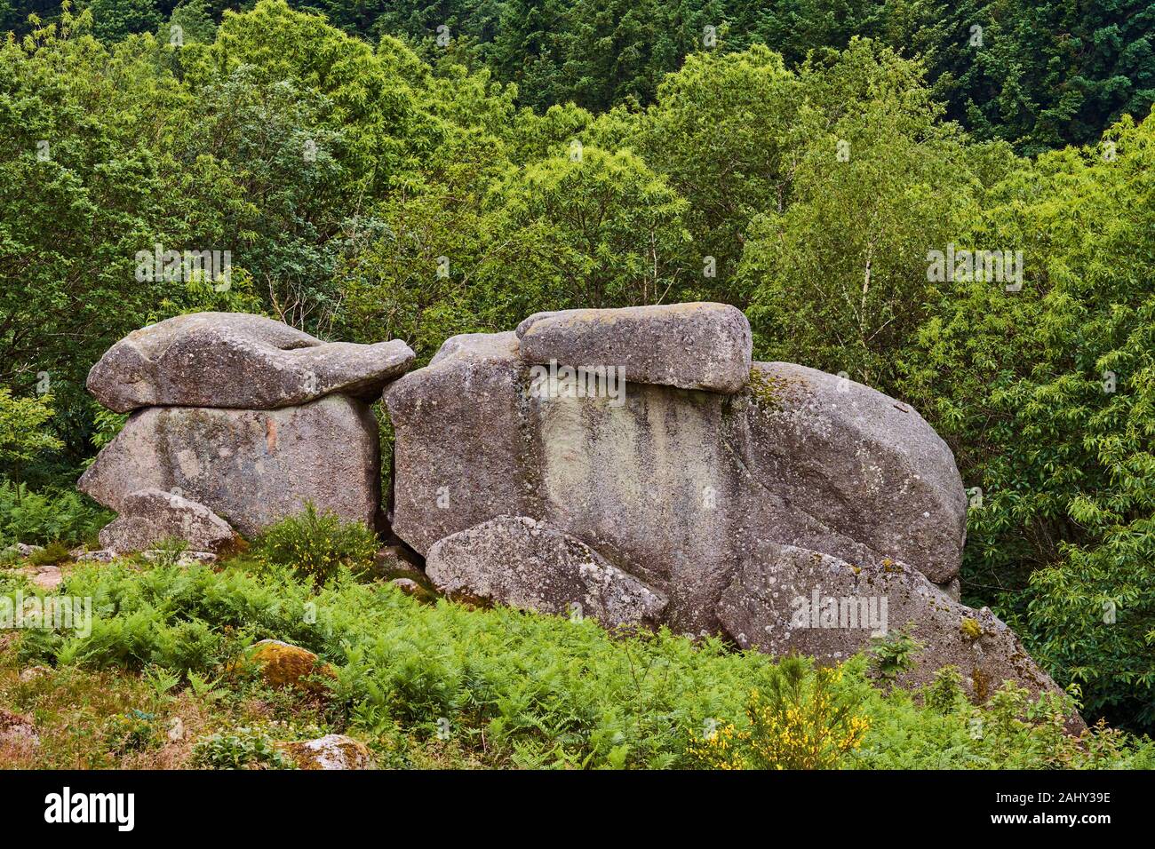 Frankreich, Burgund, Saône-et-Loire, Morvan Park, Karneval rock Stockfoto