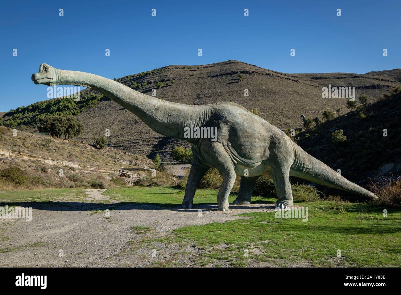 Braquiosaurio Fotos und Bildmaterial in hoher Auflösung Alamy