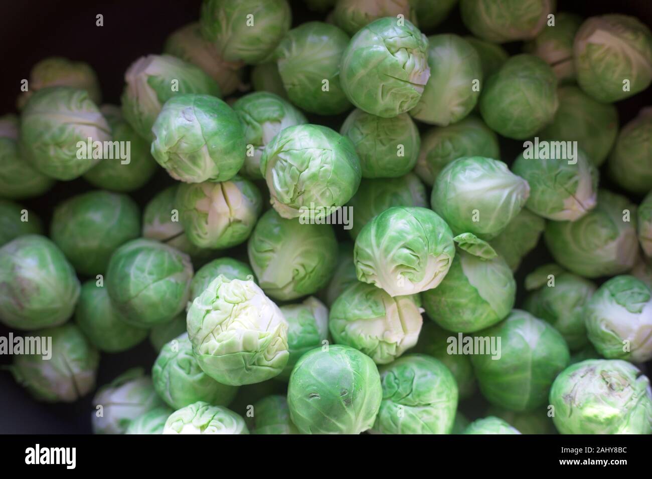 Raw Rosenkohl bereit zum Kochen Stockfoto