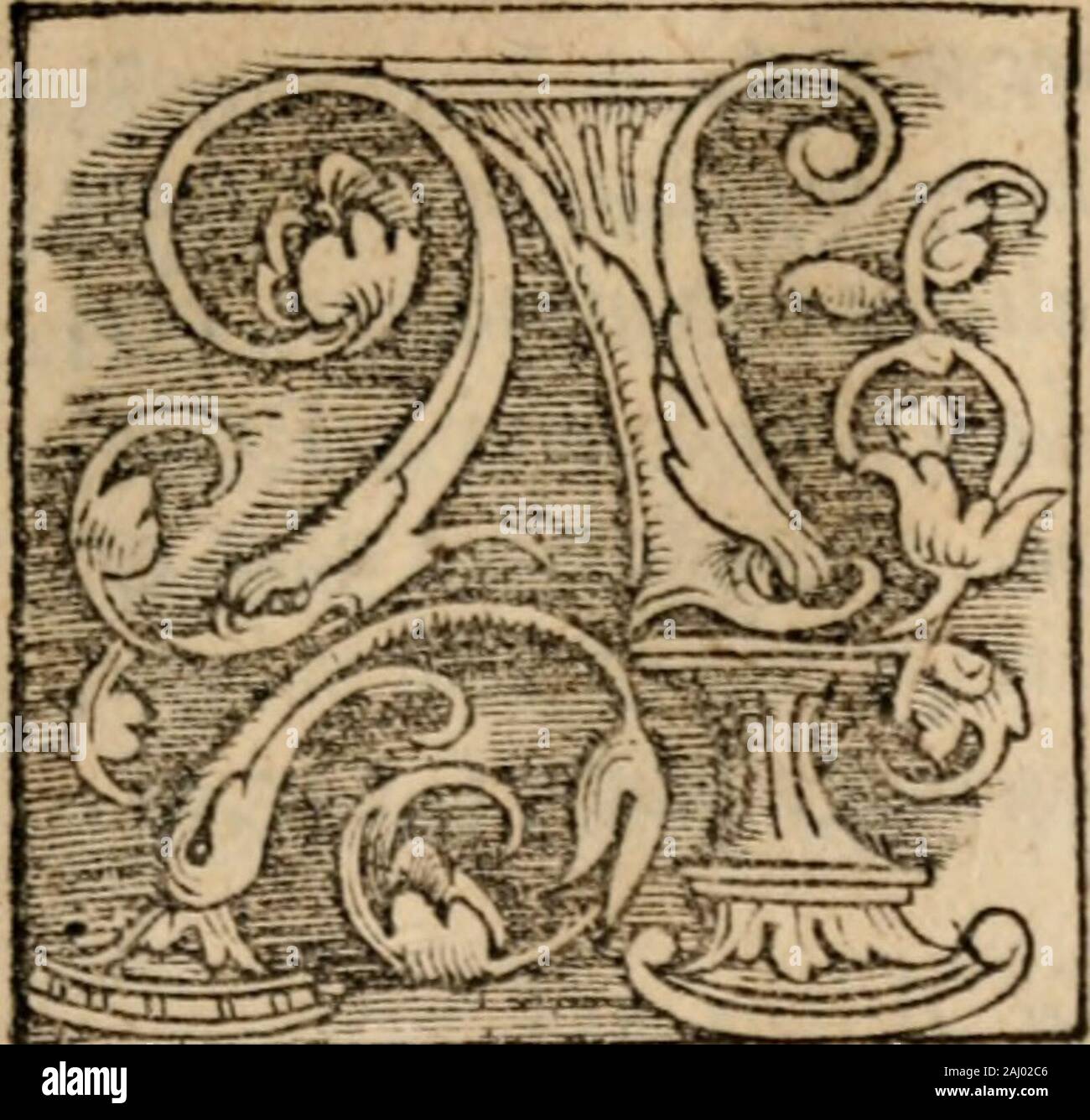 Sentenciae ex doctoribvs collectae, qvas papistae ualde impudenter hodie damnant.fu-hoc-patuit pojl pafjoncm Cbrijli ^J< ich (im fidcs remanft bcatu dumtaxat In Ma * ridyCluU omucsaliilcandali^ atifunt, tamcnChrijim dntc pafioncm orauerat pro Pctro "ut nondcficcrctfidcs fua, Concilium uniucrfale legittimc congreStd dicite, Qu 4 gatum^ uirtute Spiritm fandi, Tn quo Pu" impudcntia au^ pa ncn diffcntit ein Concilio^ ncc Concilium adctis U^ irmare l? apa/inhis (i.e. £ f^c^lant adfidemynonpoiucflra Concilia tcfv Errare. AtfiPapu dijfentita Conci^C-Je congrcgata Lio.Tune [uffc^ Ähm e § h iUud Concilium * Vtm uirtute Stockfoto