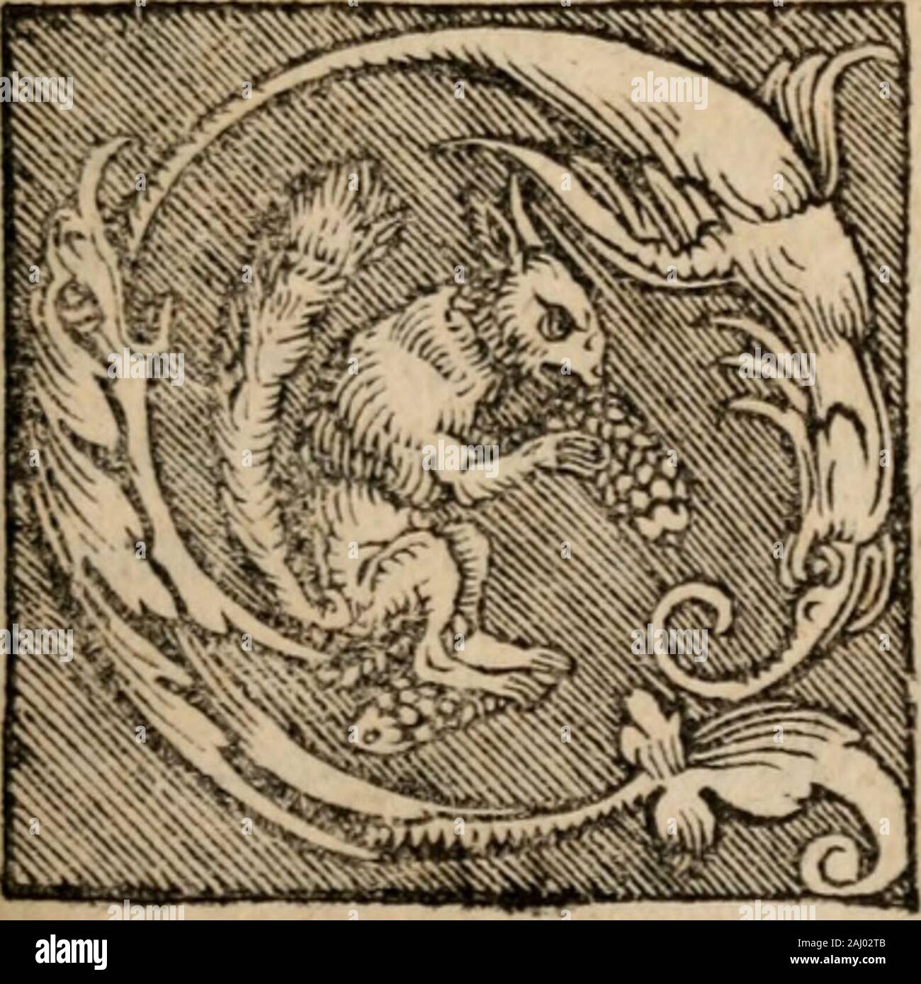 Sentenciae ex doctoribvs collectae, qvas papistae ualde impudenter hodie damnant. exioxibu/Ich. ARTICVL. OCTAVVS. YiorihiiA Epifcoporum pryeponi literis ita/utde lUx ommno difceptari dubitari Cir-nicht-po^ passen, utrum ucrum ucl utrum rcdumfu, c^^ quidineafcriptum uic c (jc confiitcrit. Epifcoajporum autcm litcrasy quje Po^^ funt fcript confirmatumcanoncm ucl, ucl fcribentur, &Lt;Tper fermoncm fortc fapientiorcm cuiuslibetiw ca re pcritioris, äh pro aUorum Epifcopo^ Yum grauiorcm autoritatcmy dodorumq; prttdaUum, Cr-PCR, concilia liccre reprehcndi, fiquidln cis fortca ucritatc deuiatum ci?- Et ipfa Rat Stockfoto