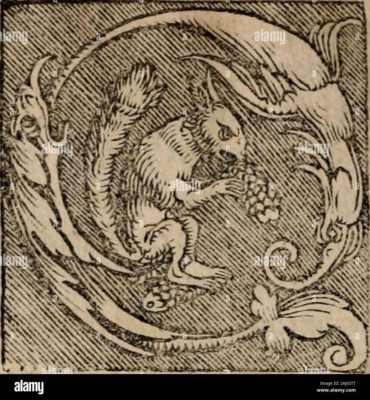 Sentenciae ex doctoribvs collectae, qvas papistae ualde impudenter hodie damnant. rouoluntate mcxcufabilis. oluntas enimcli^ qute fccum cjfct libcrdi [mmff^ itt^ cc4Ti i (eccm affenticndo^ U9 Lunt4i DE LTBERO ARBITRrO. uotuntas nMo minui efl, Qu^ fefub pecc 4 l § tcnct uoluntdric fcruicnlo. ide quid dicds dit dliquis mihi, Muoluntarium dicisyquod iam neceffarium confiat cffc ich Vcrum quidcm cfl. quod uoluntasfeipfam addixcrit/cd nicht ipfafc retinet tmagiirctinctur Cr notens, Kc^ onpo, Bene ho 9 faltcm das, quia (weil rctinctur, Fed uigilanter rctinetur, uoluntatcm cjfc qu^ retinere j^^ uoluntatcm terit, itac nQlcnt Stockfoto