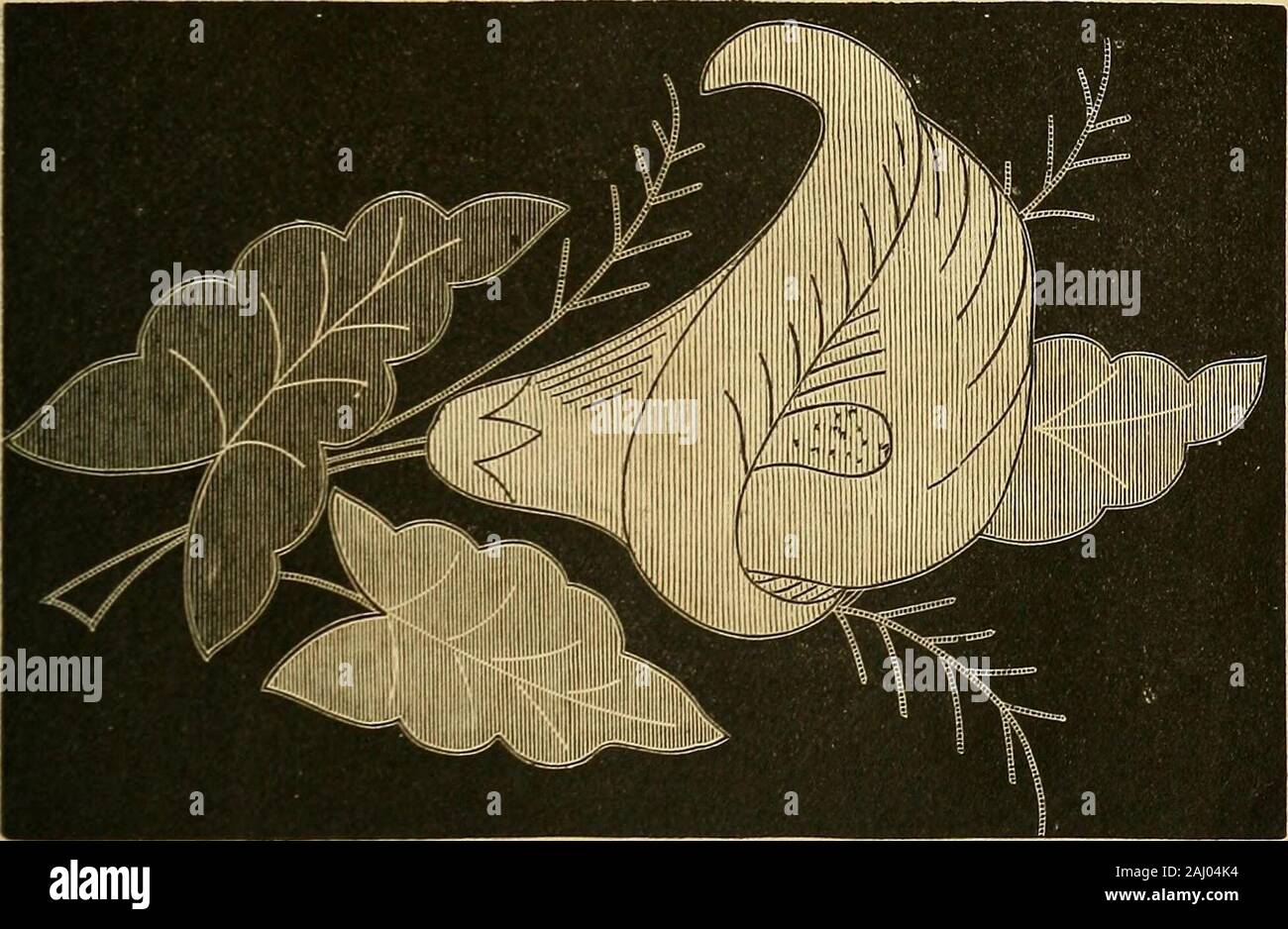 Die Damen "Leitfaden zu Nadel, Stickerei, etc.: Wird ein kompletter Leitfaden für alle Arten von fancy Ladies' Arbeit. und Farben für jeden Stich muss als DAMEN LEITFADEN FÜR HANDARBEIT übereinstimmen. 33? Genau das Gemälde der Kante es berührt. Wenn alle Ränder areworked, die Arbeitskosten der Unternehmen über, und seine mehr geschmackvolle Phase beginnt. Sie müssen dann lange Stiche in die höchsten Lichter von jedem Teil arbeiten, mit thelightest Schattierungen zu diesem Zweck, und in die dunklen Teile verwenden, die dunkelsten Schatten; afl wurde dies durch ein paar langen Stichen getan werden, und die Wirkung, die es pro Stockfoto