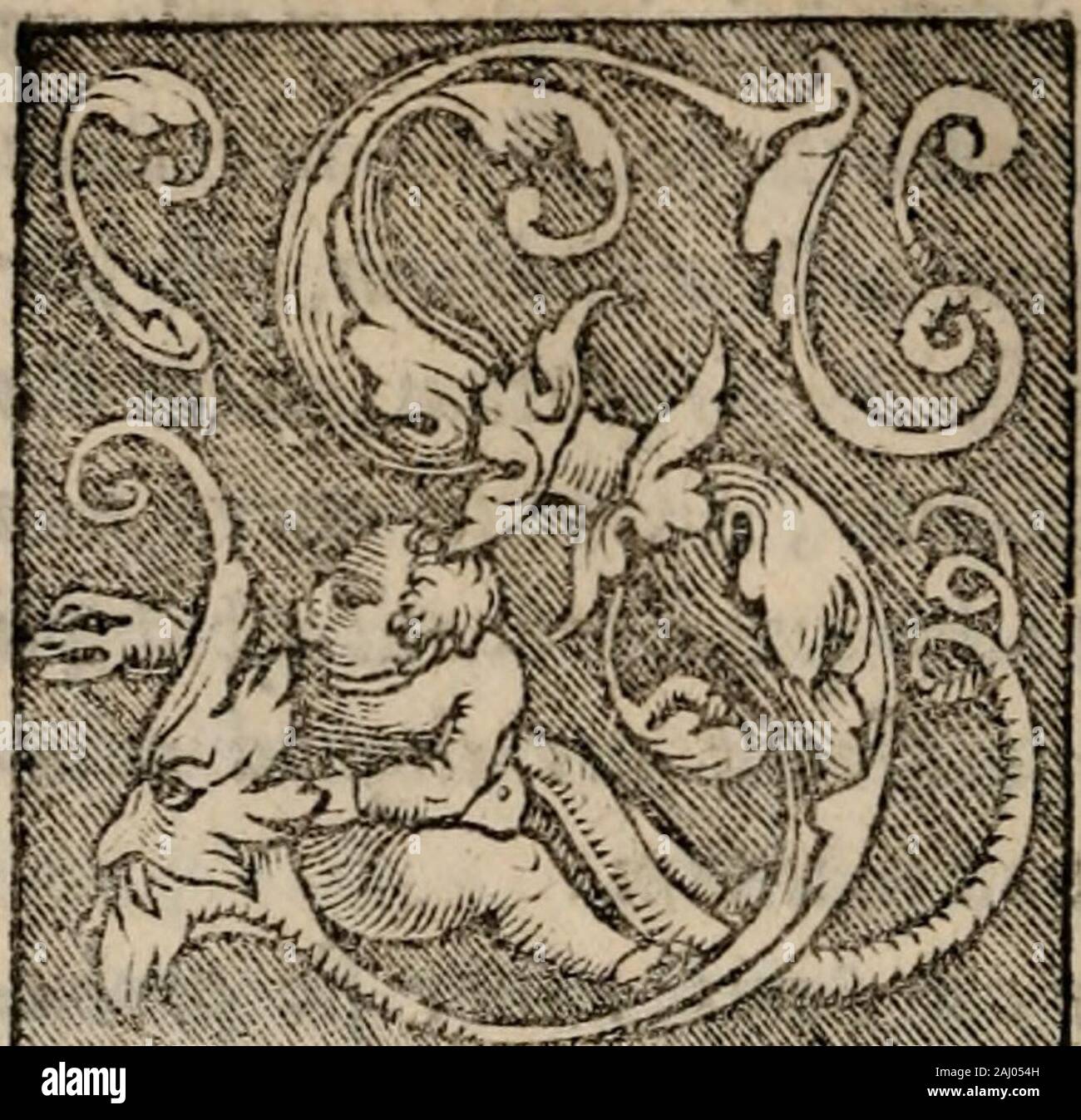 Sentenciae ex doctoribvs collectae, qvas papistae ualde impudenter hodie damnant. ctnugis in Fide ^m iufticiu qu £ eft cxftdc nofcerisdcff^ onfutu * Qu^^ ucrcf onfu eft^ ugi" nofcit iftu. Epochen. in Abs. ad Ronv lif * Dcfertur CT gentihu^ fdm uc iufti^ Cui 5 fcr quum tundcm lcgcm f Numuctercm iUum mofaium qu< e ccrcmonius Pre* fcrihit f l^ equuquum Jmo pcr nouum legcmqute Nihil cxcgit niftfidcnK Orbdlus iiii. Senten. Dift "HQueftx. HomU SOLA FIDES IVSTIH. nominifiilo Mimico dci ^Er culpmdill^ ofuitdcusnonrcmittcrc iUam ncc d< xrc &Lt;ilimod udititorium ud bcatitudincmy nifi pcraliquod obktumfibi ma Stockfoto