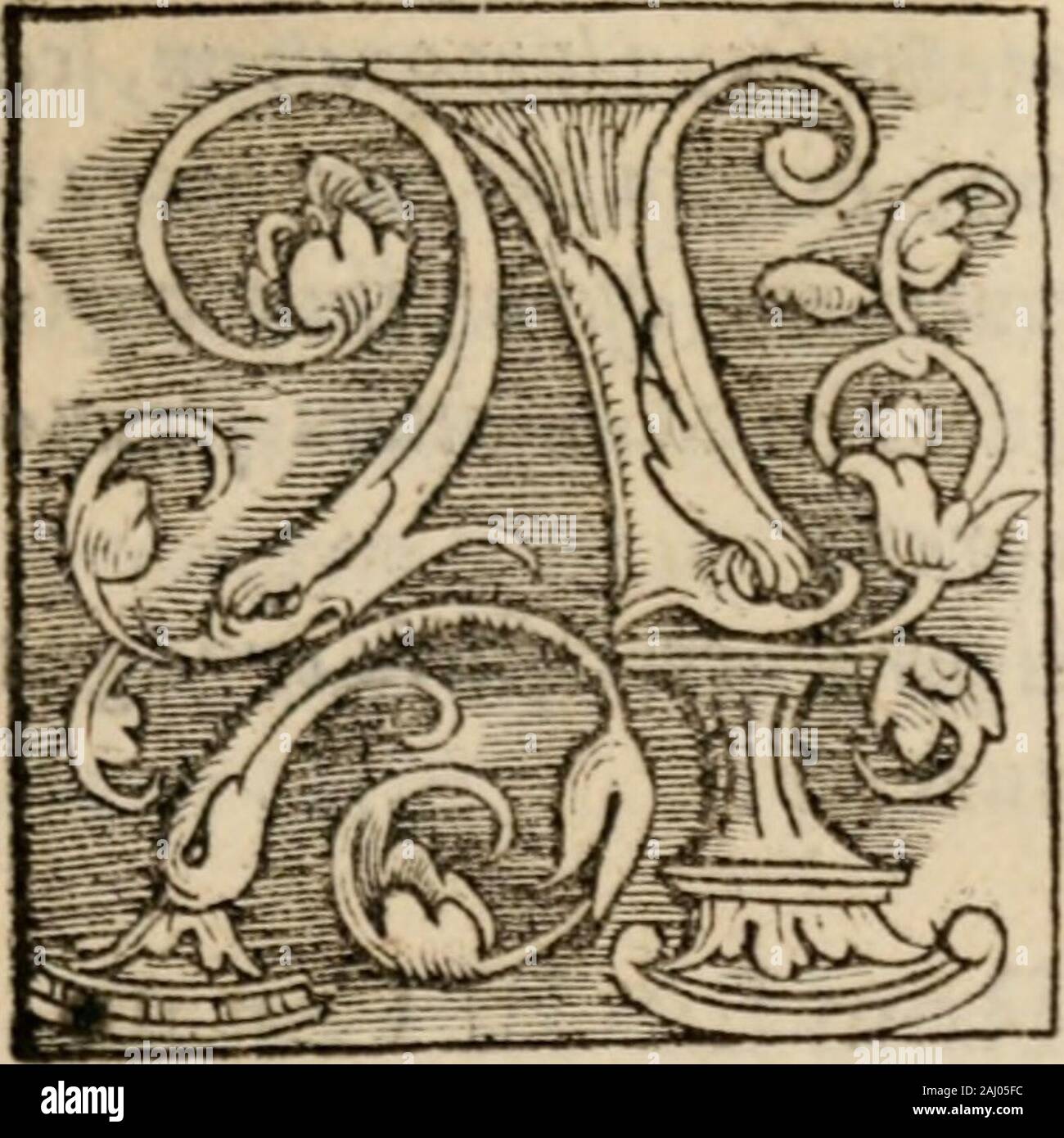 Sentenciae ex doctoribvs collectae, qvas papistae ualde impudenter hodie damnant. nhoc libeilo. ^ (tcit pro omI nibus pcc" Bj catisnonta^ tum pro o* Ich rigincli. III PrccccptaDeifunt impoflibi* Lia noftris uiribus. IIII Libcrum arbitrium ex (iiis viVi-Bus nicht potefi non peccare. V Inomniopcre bono iufti Pecs> kann nicht. VI Qu. tfit uera Ecclefia&C undccognofcatur. VII Ciaues Ecclefe verbumBei funt dC poteftas hominis. Vill Concilium potcft Errare "iX Omnes tenenturconuLunicare fub utracjfpecie^ Licet facerdotibiis vxorcs du^3 ich Cere, Conftitiirioncs hiimanae nicht XI peccatiim obligant ad, C onfefli Stockfoto