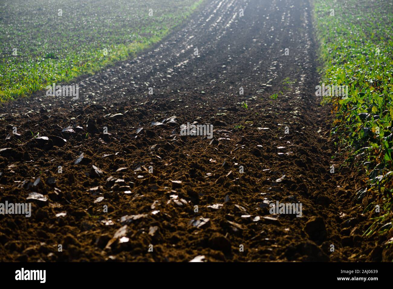 Feld Ackerland Ackerland umgepflügt, Getreide zu wachsen. Stockfoto