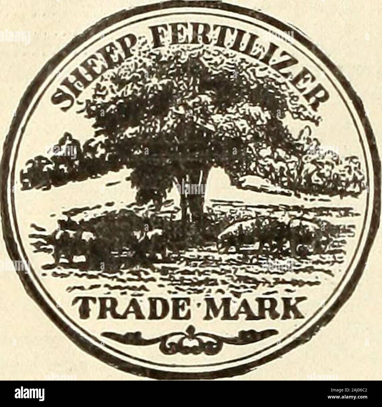 Grosshandel Preis - Liste der Samen Leuchtmittel & Zubehör für Floristen: Frühjahr 1903. ss thanS 5,00 berechnen wir extra forpacking. FUMIGATORS, verzinktem Eisen. Eureka Nr. 1. Kapazität, lA peck Stängel, jeden 2. 1 3. Vt Scheffel 4. % Doz. 100 5 Zoll $ 0,35 $ 2,25 6 50 3,30 7 75 5,50 8 1,00 7.CO 1,45 10,80 2,15 15,75 1.201.501.753.00 5.008.0011.5013.7520.00. $ 1 25. 1.50. 2.50. 3,25 Floristen Liste-W. W. Barnard & Co., Chicago. Düngemittel. Wir halten aber ein Grad. Die beste. Besondere Angebote an Käufer von largequantities. Füttern Sie die Erde und die Erde wird feedyou. Pflanzen leben und onair und Wasser allein gedeihen. Ihre ro Stockfoto