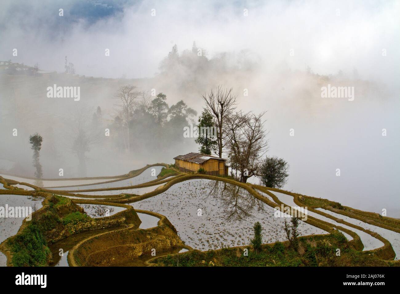 Sonnenaufgang über Reisterrassen von Yuanyang, im Süden der Provinz Yunnan, China. Im Winter, die Terrassen sind überschwemmt, die schöne Spiegelungen im Wasser. Stockfoto