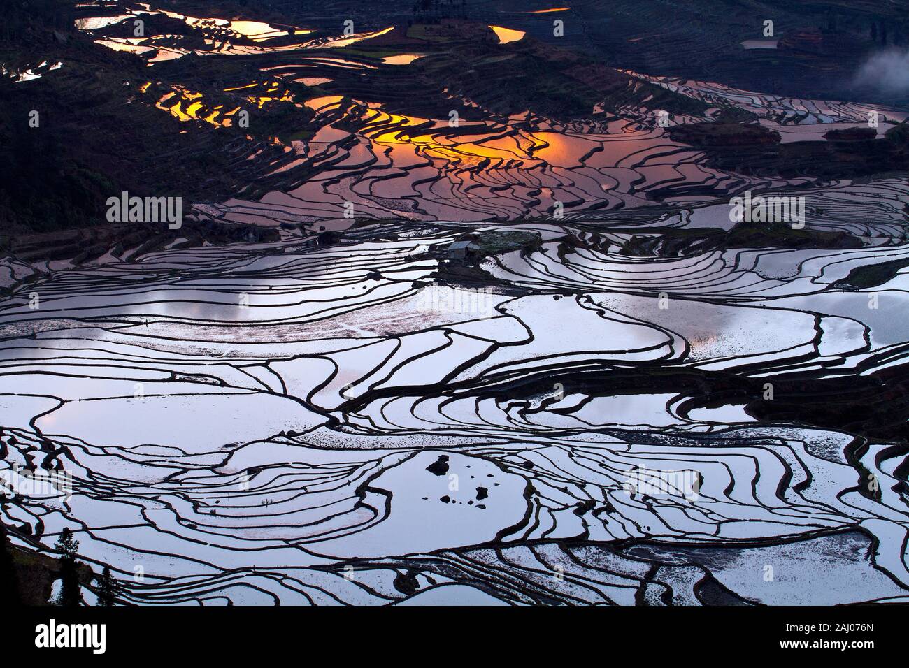 Sonnenaufgang über Reisterrassen von Yuanyang, im Süden der Provinz Yunnan, China. Im Winter, die Terrassen sind überschwemmt, die schöne Spiegelungen im Wasser. Stockfoto