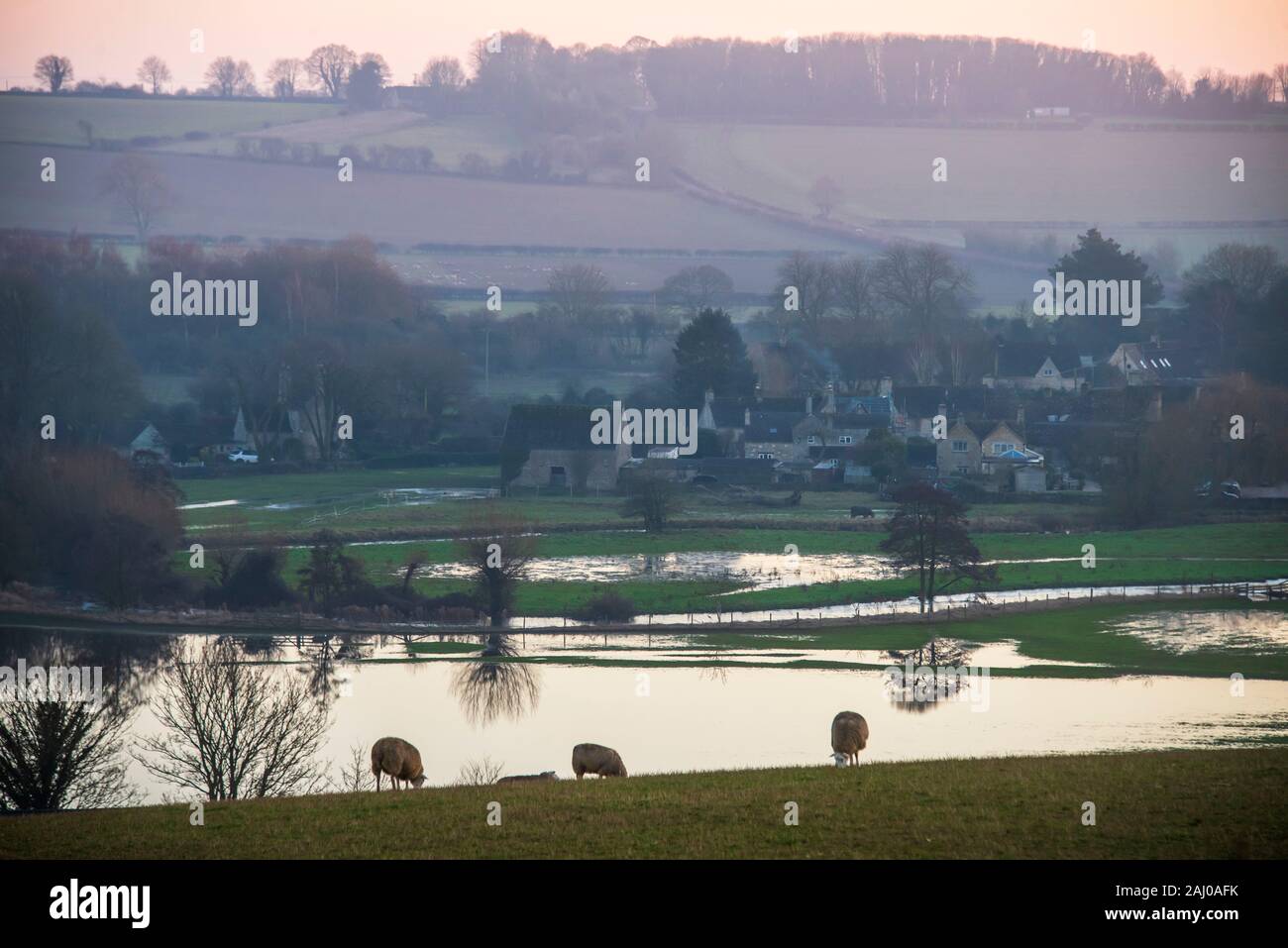 Schafe weiden in der Dämmerung über einem überfluteten Tal. Stockfoto