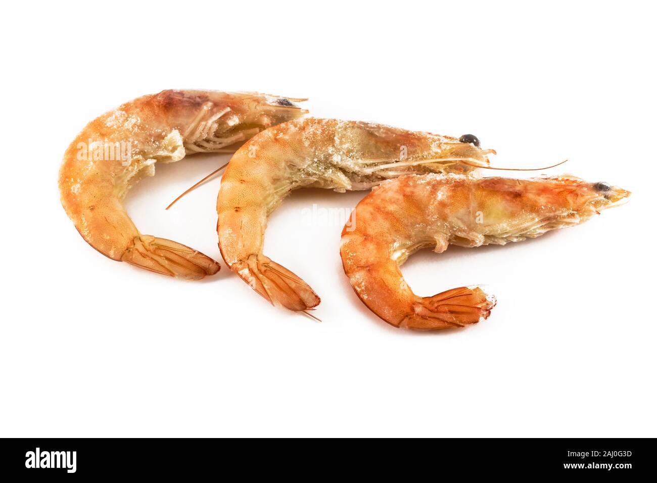 Frisch gekochte Garnelen isoliert auf weißem eingefroren Stockfoto