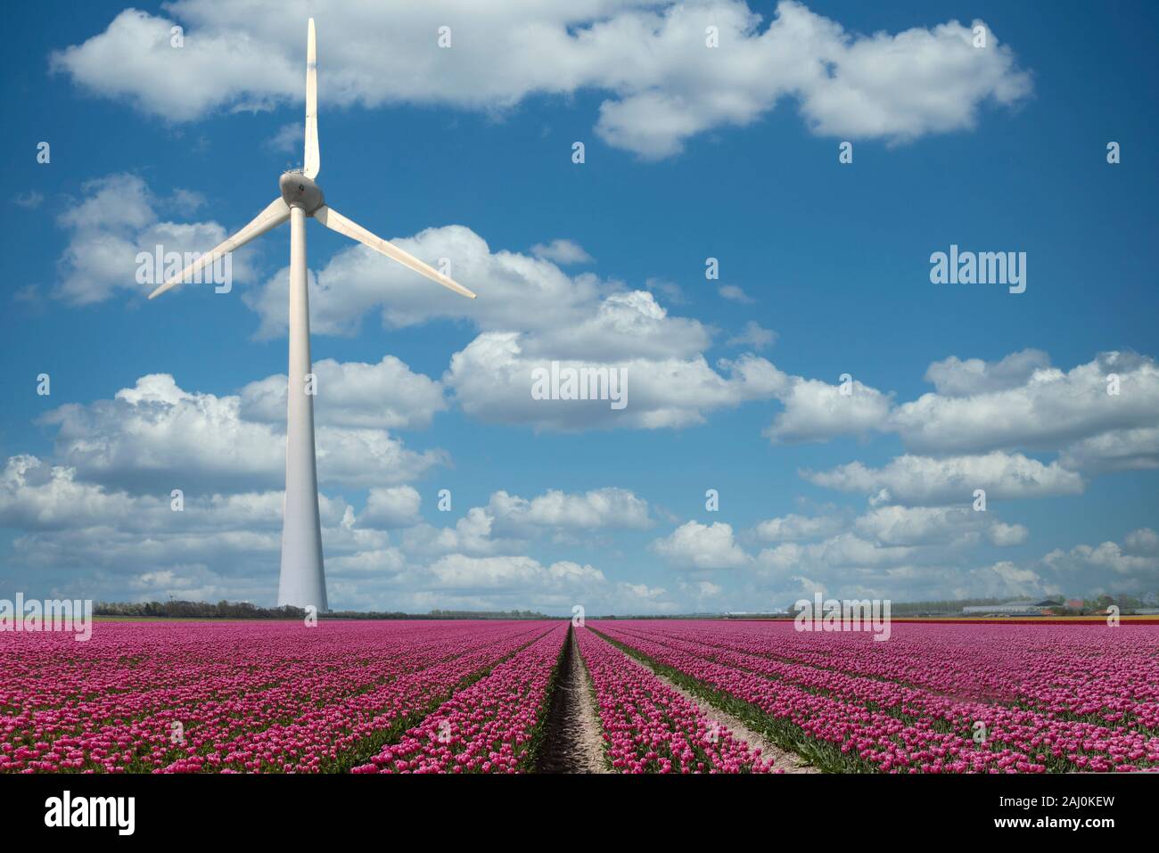 Wind Turbine Spinning und Erzeugung von grünen carbone Footprint freie Elektrizität unter einem sonnigen blauen Himmel in Almere in der Nähe von Amsterdam, Niederlande Stockfoto