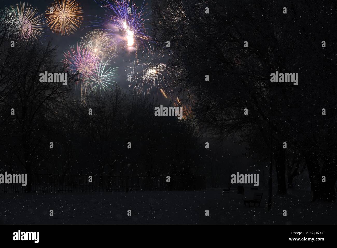 Feuerwerk am Ende des Jahres, Blick aus dem Park im Schnee Stockfoto