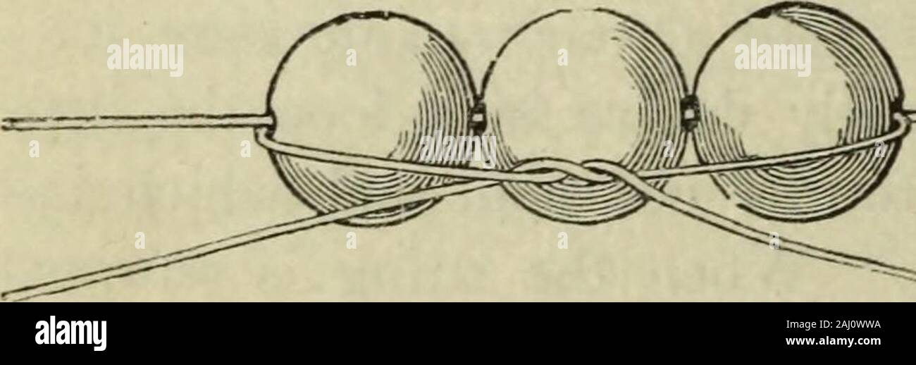 Modern Magic: Eine praktische Abhandlung über die Kunst der Zauberei. . Pes, so vorbereitet, über seinen linken Arm (Tak-ing darauf, dass die Kreuzung auf der Seite in Richtung hisbody werden geworfen, und daher verborgen), und mit den Perlen in der Hand. Diese letztere, die bloße Holzkugeln, von einem auf zwei inchesin Durchmesser, perforiert, so dass die Bänder frei zugeben, er Hände forexamination. Wenn sie zurückkam, er Threads zu einem afteranother auf die Bänder, die sich in einer Schleife, so dass die ballsmay Versinken in die Mitte, und so der Kreuzung. Er nächsten Zugriffe zwei Stockfoto