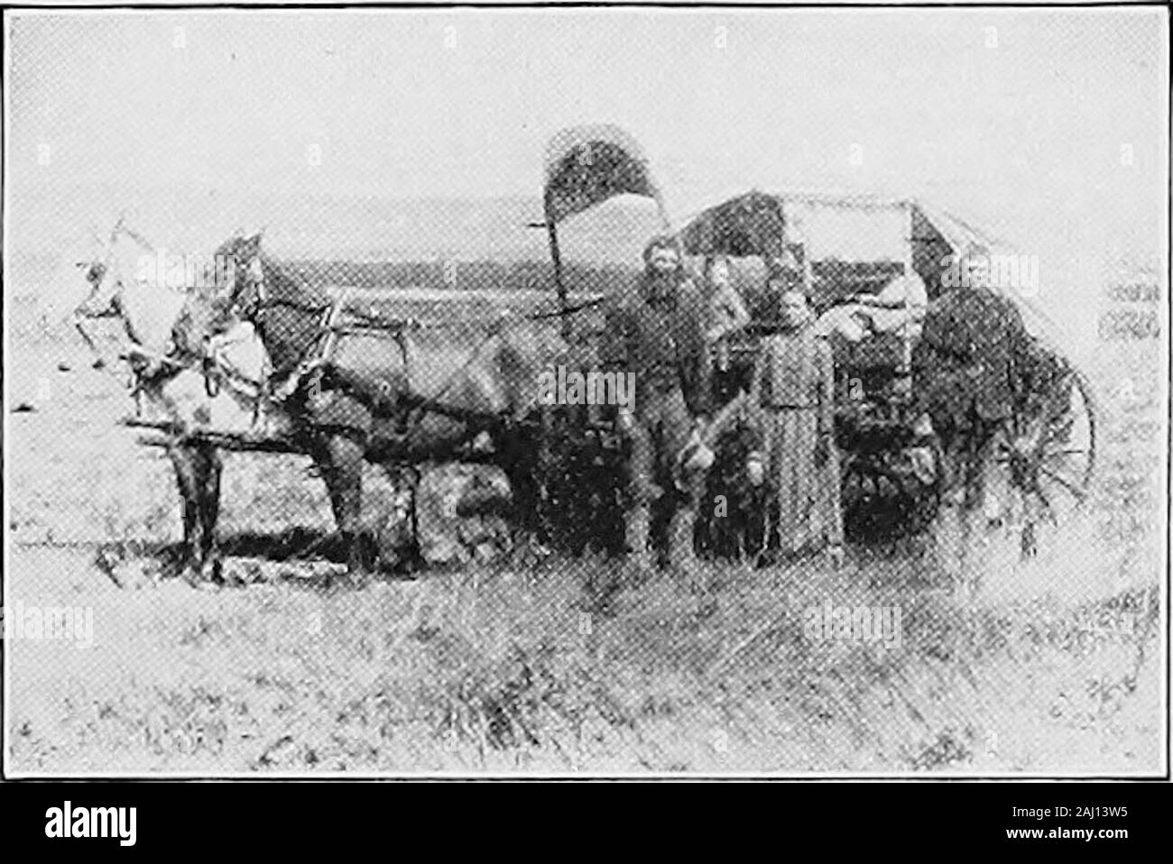 Geschichte und Geschichten von Nebraska. Ein Western Cattle. {Von S. D. Metzger Sammlung.) Rinder verschiedener Ranches lief auf den Strecken. Eachranchman wusste, dass sein eigenes Vieh, weil sie seine Marke markedwith waren. Einmal im Jahr, all die Viehzüchter in einem districtdrove das Vieh zusammen und Branded jedes Kalb mit thebrand der Kuh, es folgten. Dies war theroundup genannt. Das Gras auf den Ebenen starb auf seine Wurzeln in Thelate Sommer jedes Jahr so, dass der Frost hat es nicht töten. Also, die das Land im Herbst und Winter war eine tolle freehaystack und eine sehr billig und einfach zu heben c Stockfoto