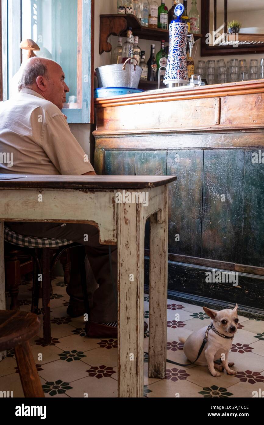 Vejer de la Frontera, Andalcia, Spanien. Alte Mann und der kleine Hund in der Cafe Bar in der Stadt Stockfoto
